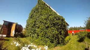 Дача СНТ Мечта