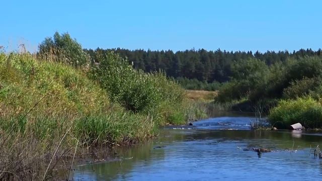 Сплав на байдарках по реке Медведица. Тверская область. Лоция под водный поход на байдарке