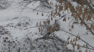 поиск новогодних закладок