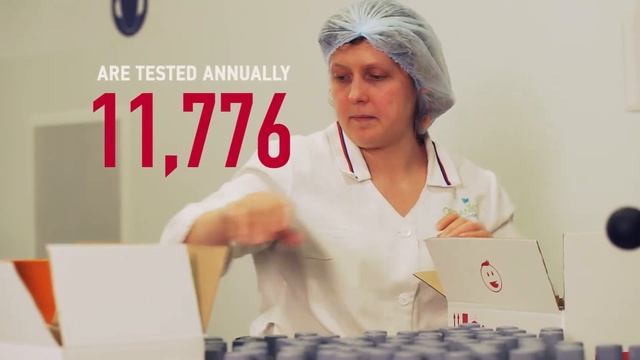 SPLAT corporate video (in English) смотреть онлайн