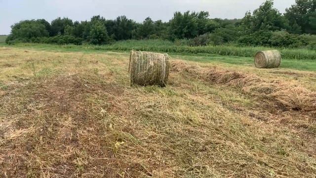 JOHN DEERE 570 В ИДЕАЛЕ : ЗАПУСК НА ПОЛЕ смотреть онлайн