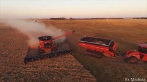 Как убирают зерно в Канаде.