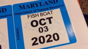 Floaty Boat Fishing Decals