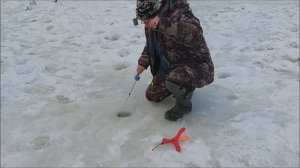 Работают приманки в рыже - жёлтых тонах. Клёвое место, Лосиный остров, верхний водоём.