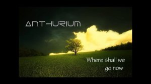 Anthurium - Where Shall We Go Now