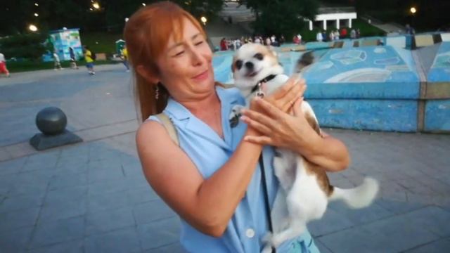 Встреча с подписчиками смотреть онлайн