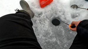 рыбалка 2023. окунь на мормышку. рыбалка в мордовии.