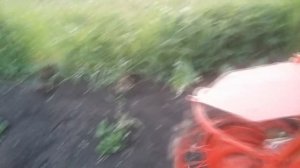 Мотоокучник.Междурядная обработка картошки.