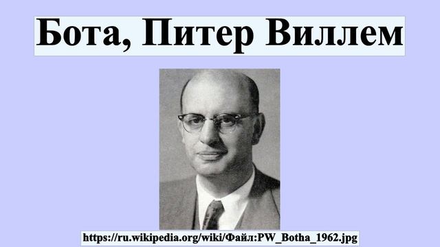 Бота, Питер Виллем смотреть онлайн