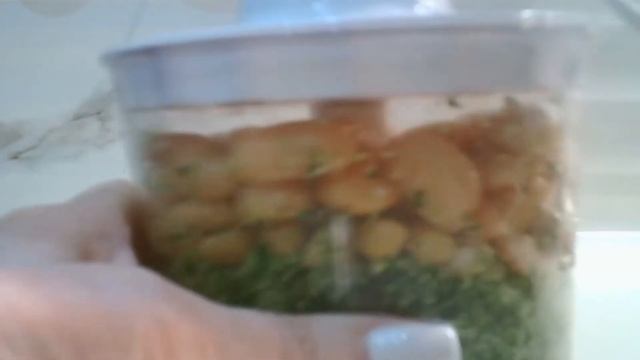 ХУМУС из белой фасоли и нута с кинзой смотреть онлайн