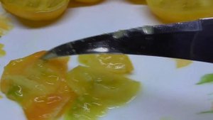 Томатный Гном Золотой цыган. Красивый, вкусный томат!  Дегустация томата.