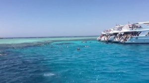 Остров Тиран. Шарм-Эль-Шейх. Египет