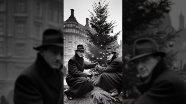 Secret Story of James Bond and London’s Christmas Tree  #xmas #trafalgarsquare