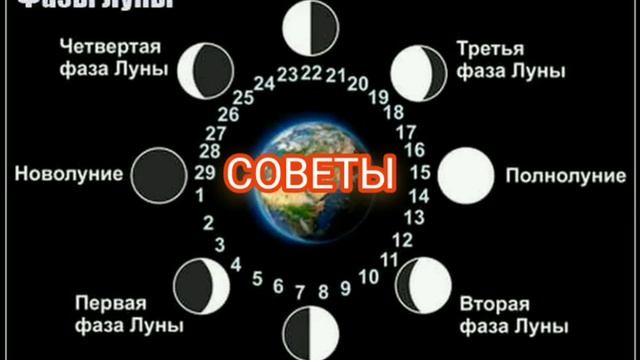 ФАЗЫ ЛУНЫ В ЛУННОМ МЕСЯЦЕ!???КАКИЕ ОНИ БЫВАЮТ??