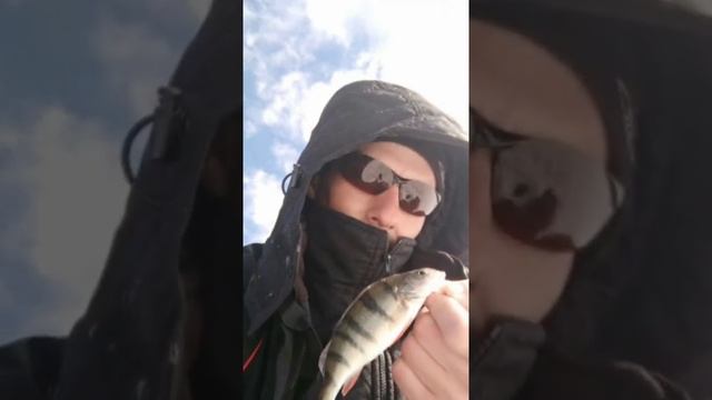 Рыбалка Плещеево озеро смотреть онлайн