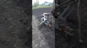 мотоблок урал в работе