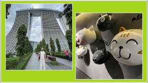 #34 Сингапур. Из самого дорогого отеля Marina едем в самый дешевый Lyf Funan. День, когда все не так