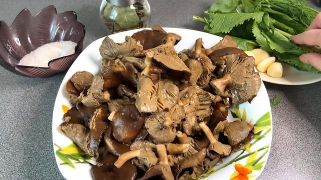 Горькушки солёные. Как выглядят грибы горькушки и как их солить