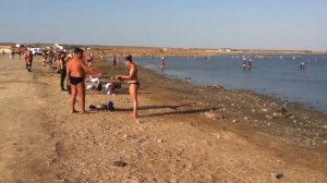 Межводное - Лиман - Грязи