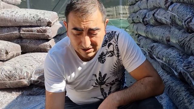 Новая Кора Пинии. ИДЕАЛЬНЫЙ ПОСАДОЧНЫЙ МАТЕРИАЛ ДЛЯ ВАШИХ ОРХИДЕЙ!!! смотреть онлайн