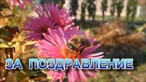 СПАСИБО ЗА ПОЗДРАВЛЕНИЯ И ПОДАРКИ        !!