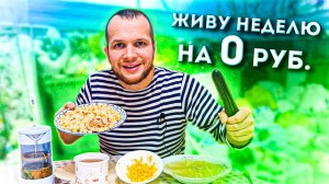 КАК ПРОЖИТЬ ВСЮ НЕДЕЛЮ НА 0 РУБЛЕЙ!