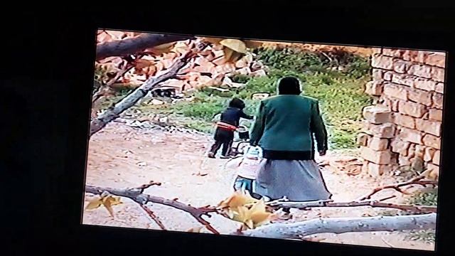 Гуляют во дворе