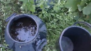Готовим зеленое удобрение. Улучшаем его состав.