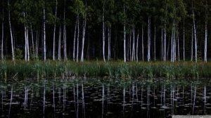 Легенда Чёрного озера