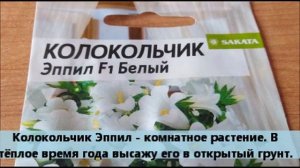 Колокольчик Эппил F1 Белый из семян.