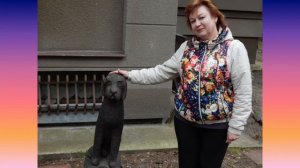 Дом сказочника, Светлогорск