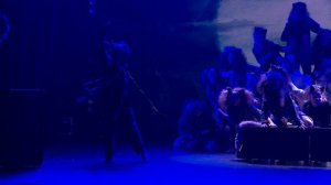 "Кошки не похожи на людей ? "