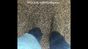 Случайности и совпадения в жизни (12 фото)