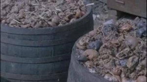 Фитиль №062 (1967 год)