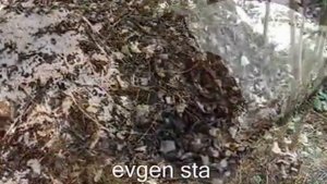 Земля для рассады.  Где лучше брать