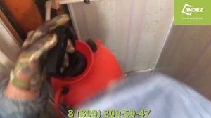 Увидели в квартире муравья? | Борьба с муравьями  от INDEZ