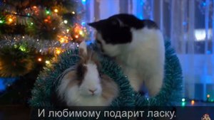 Просто видео без озвучки песни я просто хочу чтобы это видео у меня осталось а галерее (не смотрите