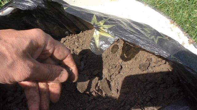 Чем кормить домашних кур несушек, что бы лучше неслись