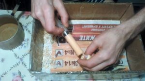 Выкормыши попугаев . Кормление птенцов . Кореллы .