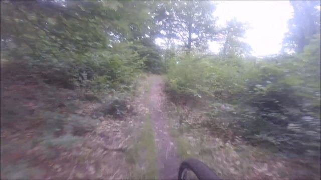 Scott Scale 2017 Season