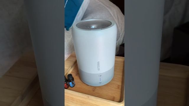 Humidifier смотреть онлайн