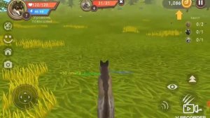 Симулятор волка !!!