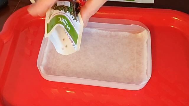 Микрозелень редис. Новый вкус жизни смотреть онлайн