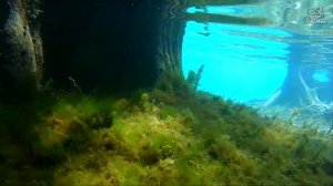 Ponce De Leon Springs Virtual Tour! ABOVE AND BELOW!!