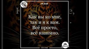 Цитаты и афоризмы.