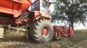 HOLMER Terra Dos T3