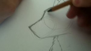 Рисуем волка(простой)