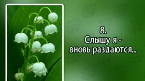 Гимнынадежды 8 Слышу я - вновь раздаются... (-)