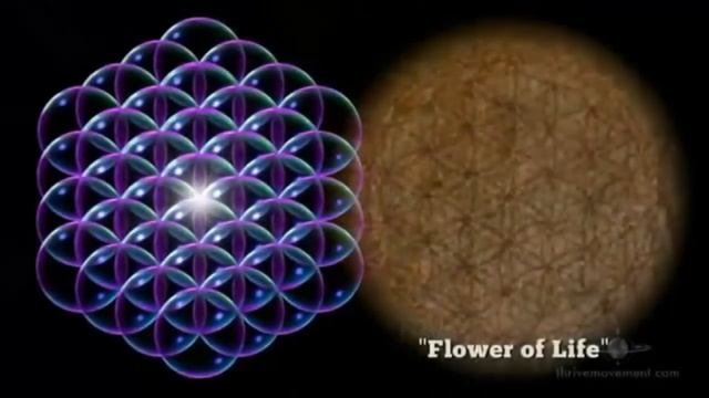 Знаки на полях, откуда они и что значат смотреть онлайн