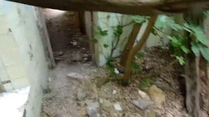 #6 Агрия Дача Суворина